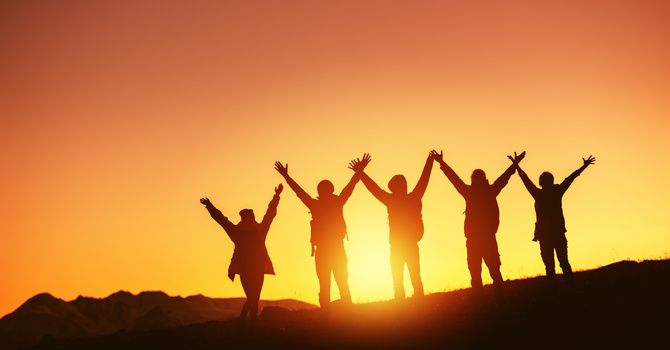 Free 20 Min Phone Consultation